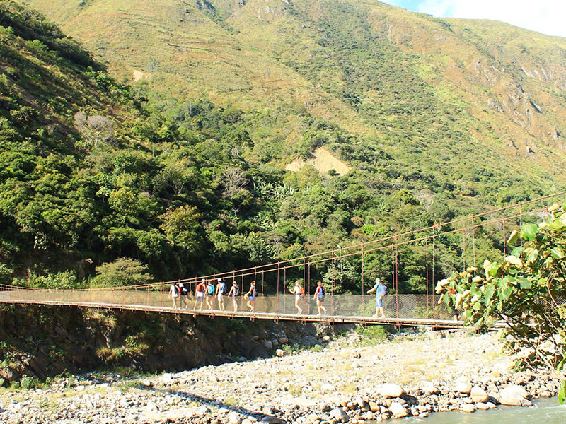 Bridge inca Jungle